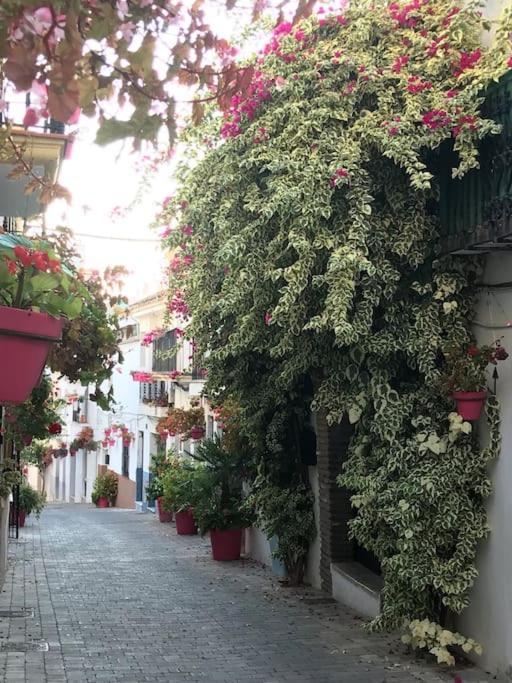 شقة Casa Maria إِستيبونا المظهر الخارجي الصورة